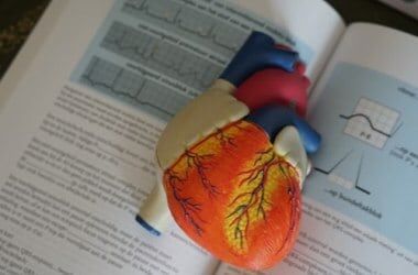 heart 3 1